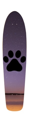 Design 584445 Skateboards, Longboards and Grip Tape