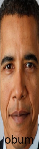 obum Skateboards, Longboards and Grip Tape Image