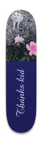 Adnas new whip Skateboards, Longboards and Grip Tape Image