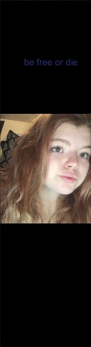 Design 587466 Skateboards, Longboards and Grip Tape Image