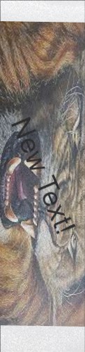 Design 590683 Skateboards, Longboards and Grip Tape
