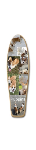Puppins! Skateboards, Longboards and Grip Tape Image