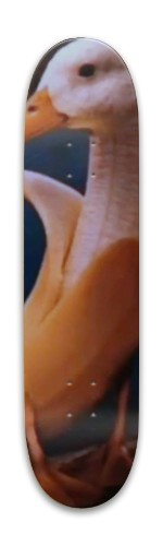 Design 594471 Skateboards, Longboards and Grip Tape Image