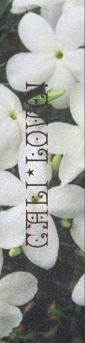 Design 594933