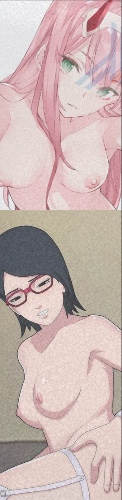 Zero two and sarada