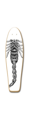 Design 596388 Skateboards, Longboards and Grip Tape