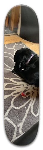 Design 596682 Skateboards, Longboards and Grip Tape Image