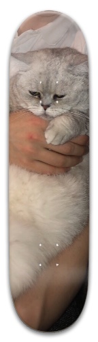 Design 597435 Skateboards, Longboards and Grip Tape Image