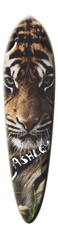Design 59847 Skateboards, Longboards and Grip Tape
