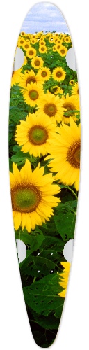 Design 599182 Skateboards, Longboards and Grip Tape