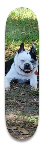 Design 602260 Skateboards, Longboards and Grip Tape Image