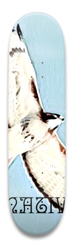 Hawk Skateboards, Longboards and Grip Tape Image