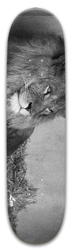 Design 604551 Skateboards, Longboards and Grip Tape