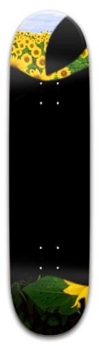 Design 606535 Skateboards, Longboards and Grip Tape