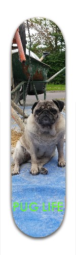 PUG LIFE Skateboards, Longboards and Grip Tape Image