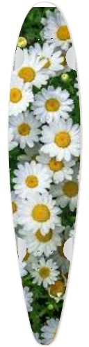 Design 607507 Skateboards, Longboards and Grip Tape Image