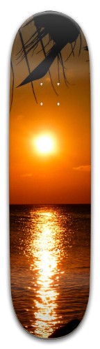 Design 608449 Skateboards, Longboards and Grip Tape