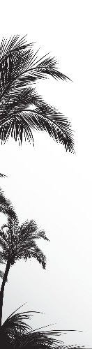 Design 613306 Skateboards, Longboards and Grip Tape Image