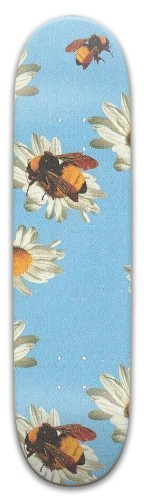 Design 613332 Skateboards, Longboards and Grip Tape Image