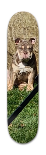 Design 615603 Skateboards, Longboards and Grip Tape Image