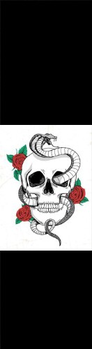 Design 616735 Skateboards, Longboards and Grip Tape Image