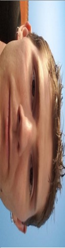 linus Skateboards, Longboards and Grip Tape Image