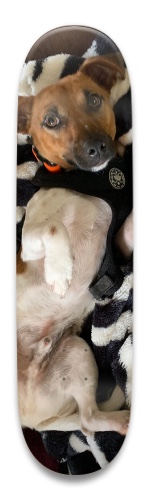 Design 620493 Skateboards, Longboards and Grip Tape Image