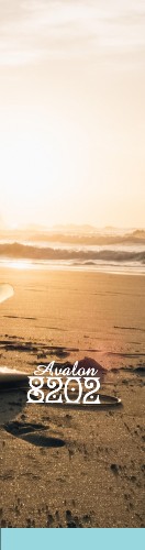 Design 621550 Skateboards, Longboards and Grip Tape Image