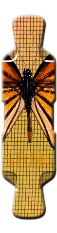 Design 62166 Skateboards, Longboards and Grip Tape