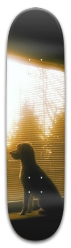 Design 621979 Skateboards, Longboards and Grip Tape Image