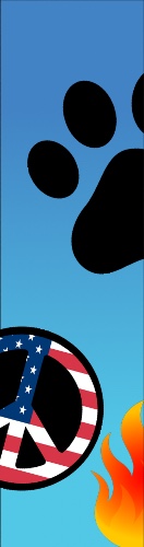 Design 622913 Skateboards, Longboards and Grip Tape