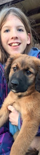 Design 627852 Skateboards, Longboards and Grip Tape Image