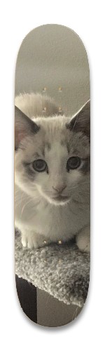 Design 627920 Skateboards, Longboards and Grip Tape Image