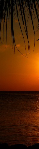 Design 628388 Skateboards, Longboards and Grip Tape Image