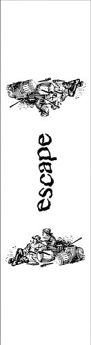 Design 628940 Skateboards, Longboards and Grip Tape