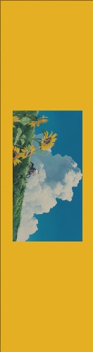 Design 629465 Skateboards, Longboards and Grip Tape Image