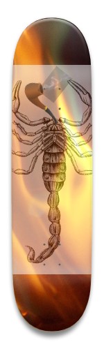 Design 629466 Skateboards, Longboards and Grip Tape Image