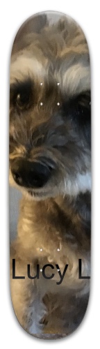 Design 629842 Skateboards, Longboards and Grip Tape Image