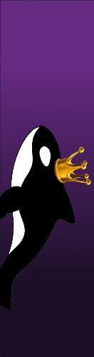 Design 630050 Skateboards, Longboards and Grip Tape Image