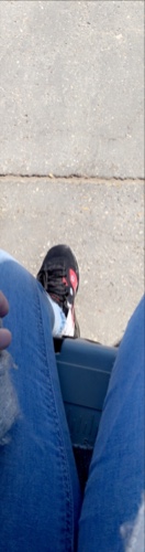 Design 630203 Skateboards, Longboards and Grip Tape Image