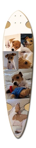 Design 630652 Skateboards, Longboards and Grip Tape