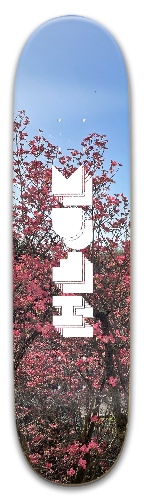 Design 630893 Skateboards, Longboards and Grip Tape Image