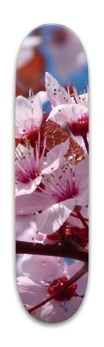 Design 630906 Skateboards, Longboards and Grip Tape