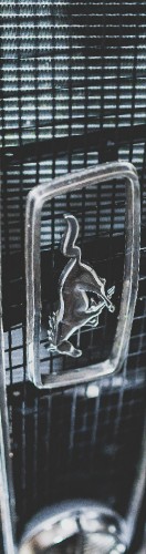 Design 631847 Skateboards, Longboards and Grip Tape Image