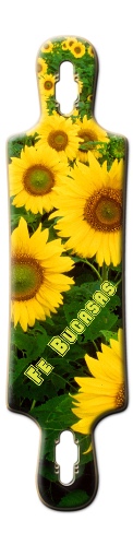 Design 632058 Skateboards, Longboards and Grip Tape
