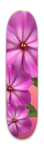 Design 632460 Skateboards, Longboards and Grip Tape Image