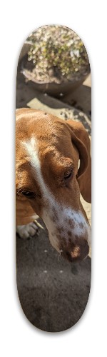 Design 632685 Skateboards, Longboards and Grip Tape Image