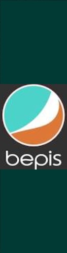 bepis tape