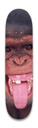 Design 636045 Skateboards, Longboards and Grip Tape Image