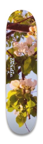Design 639215 Skateboards, Longboards and Grip Tape Image